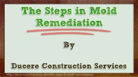 The Steps in Mold Remediation