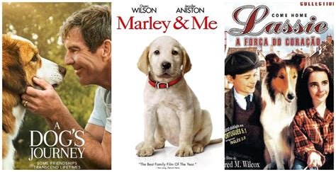 7 Must-See Dog Movies | Starmometer