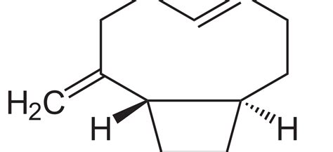 Caryophyllene Market Experiences Explosive Growth with a 5% CAGR ...