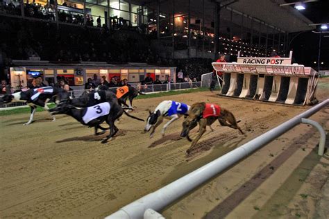 Fury as Walthamstow Dog Stadium given go-ahead for redevelopment ...