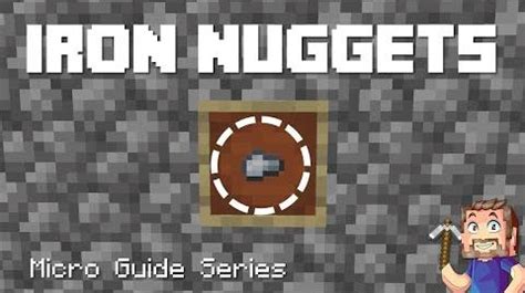 Iron Nugget | Minecraft Wiki | Fandom