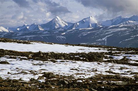 tundra | image of a best view of tundra | Tundra ártica, Biomas ...