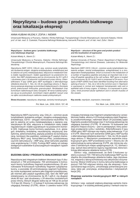 (PDF) Neprilysin - Structure of the gene and protein product and the ...