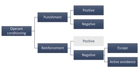 Diagram of operant conditioning | Download Scientific Diagram