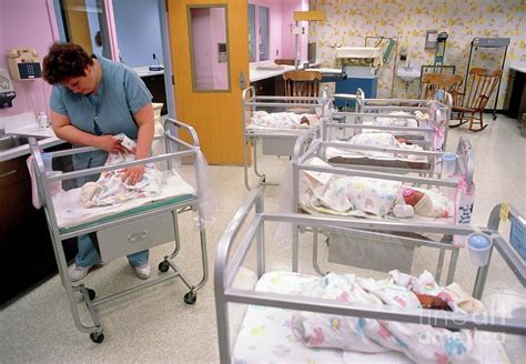 Nurse With Babies In A Hospital Nursery. Photograph by Stevie Grand ...