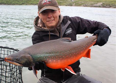 Arctic Char Fishing | Plummers Arctic Lodges | Northwest Territories