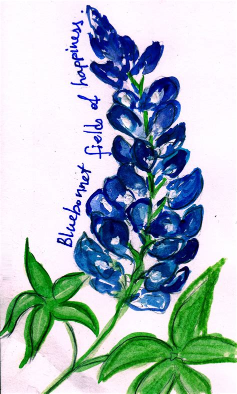 Bluebonnets Drawing at GetDrawings | Free download