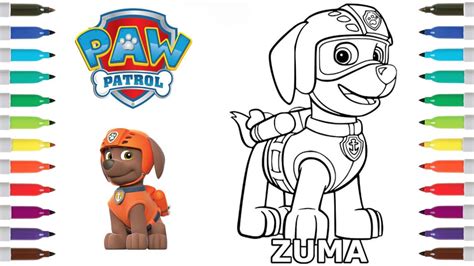 Paw Patrol Zuma Coloring Page