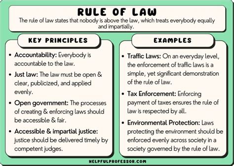 10 Rule of Law Examples (2024)