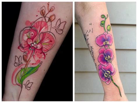 Orchid Flower Tattoo Meaning | Best Flower Site