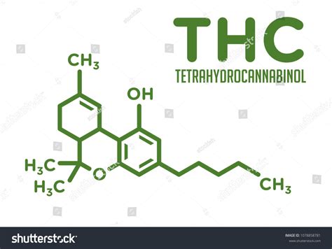 Cannabis Vector Logo Thc Icon Stock Vector (Royalty Free) 1078858781 ...