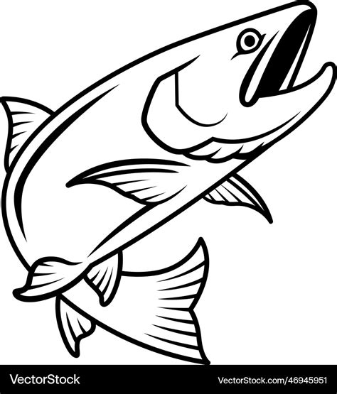 Salmon drawing with black blush lines Royalty Free Vector