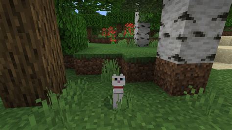 How to tame Cats in Minecraft - Gamepur