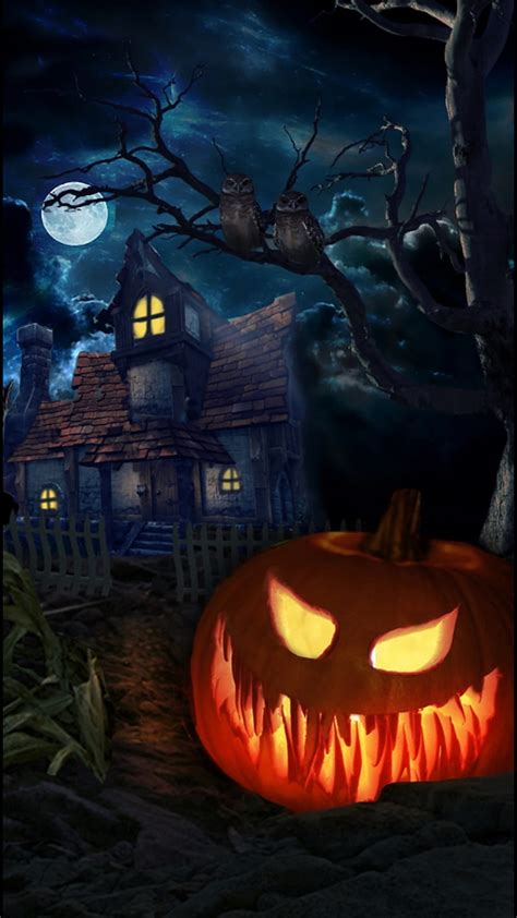 Halloween, halloween, halloween pumkin, halloween, pumpkins, pumpkin ...