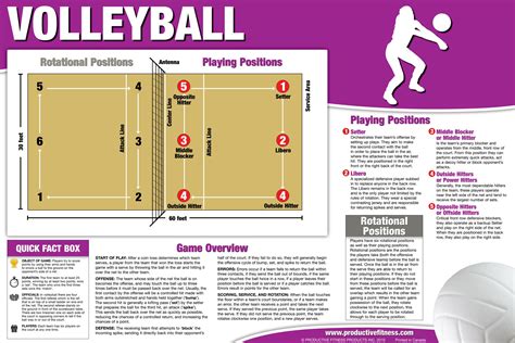 Volleyball Rules For Kids