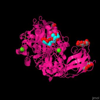 Glycosyltransferase - Proteopedia, life in 3D