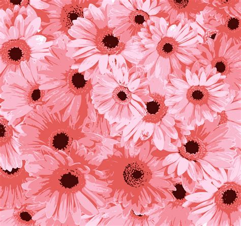 Pink Flowers Background Free Stock Photo - Public Domain Pictures