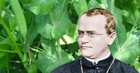 Gregor Mendel - Biography, Facts and Pictures