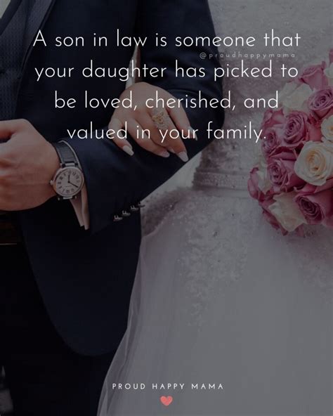 100 Son In Law Quotes And Sayings (With Images)