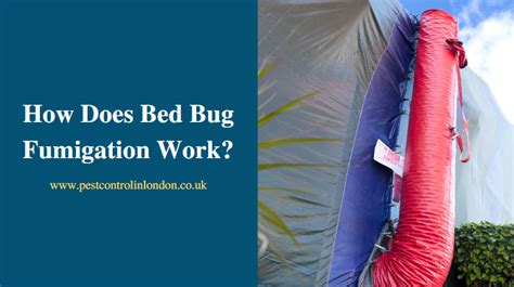 How Does Bed Bug Fumigation Work? - Pest Exterminators