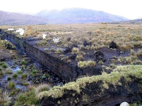 Ireland's Bog Bodies – Claddagh Design