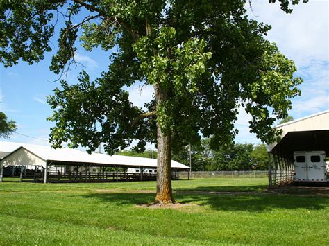 Venues in Southern Illinois | - Marion County Fairgrounds