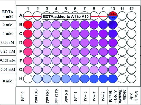 Illustration of the FIC checkerboard scheme, 96-well plate set up. The ...