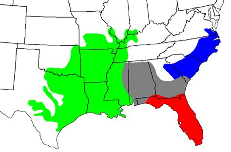 Water Moccasin Vs Cottonmouth - What's the Difference? - Wildlife Informer