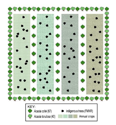 The Farmer Managed Agroforestry Farming System (1 ha) model.