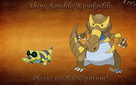 Shiny Krokorok X And Y