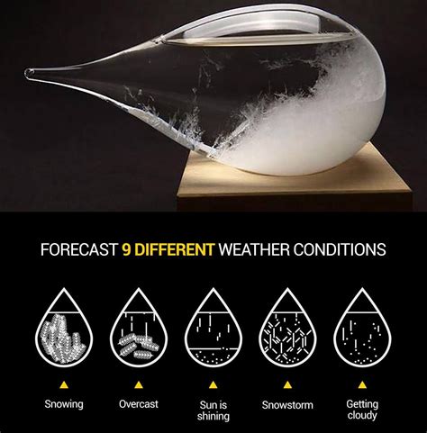 Weather Predicting Storm Glass | Storm, Weather, Barometers