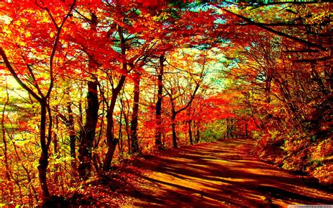 Hình nền thu đẹp mắt 4k fall desktop backgrounds với độ phân giải cao nhất