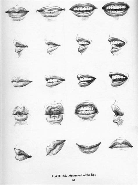 mouth angles | Art - technical | Pinterest