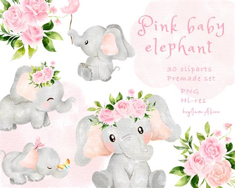 Baby Elephant Clipart Pink Watercolor Elephant PNG FREE - Etsy Australia