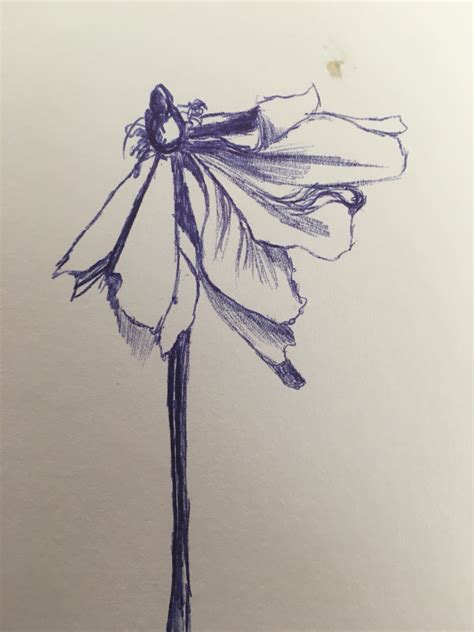 Dead Flower Drawing at GetDrawings | Free download