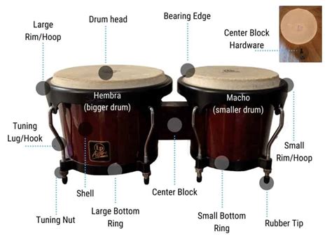 How to Tune Bongo Drums Without Ruining Them: A Complete Guide – Sound ...