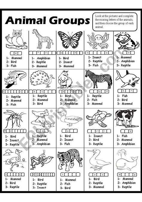 Animal Groups-2 - ESL worksheet by Amna 107 | Animal groups, Homeschool ...