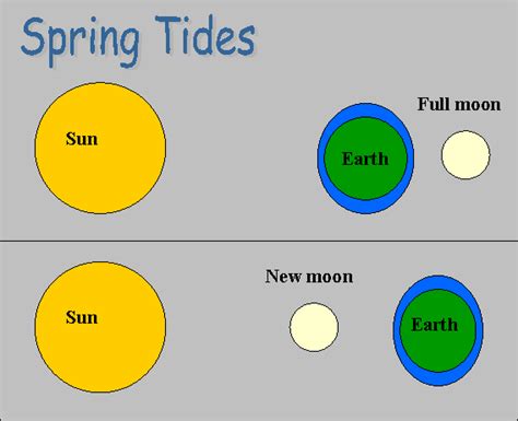 Venn Diagram Of Spring And Neap Tides Neap Tide Diagram