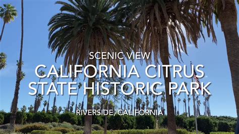 Scenic View from California Citrus State Historic Park in Riverside ...