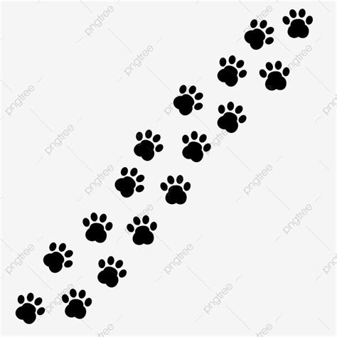 Paw Print Trail Clipart Transparent PNG Hd, Paw Vector Foot Trail Print ...