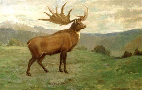 Irish elk extinct on FlowVella - Presentation Software for Mac iPad and ...