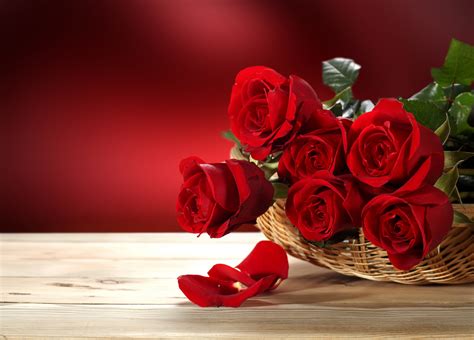 Valentine's Day Flowers Wallpapers - Wallpaper Cave