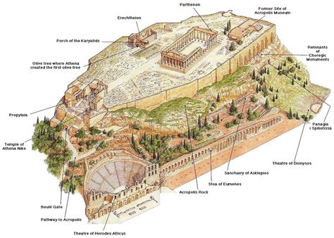 acropolis reconstruction plan | Ancient athens, Ancient greek ...