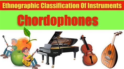 CLASSIFICATION OF MUSICAL INSTRUMENTS : CHORDOPHONES - YouTube