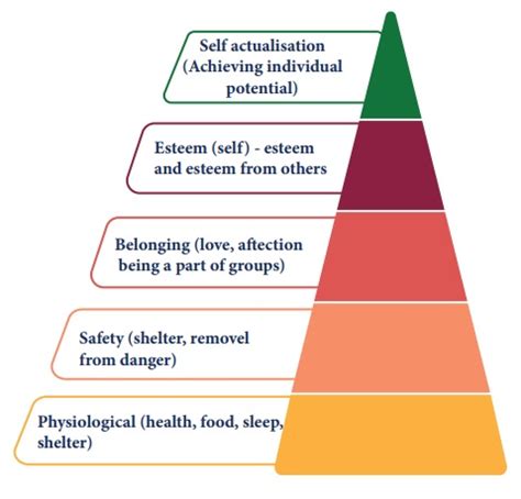 Describe Maslow's Theory of Motivation - Rubi-has-Vaughn