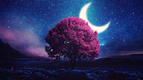 Lone tree in the moonlight - backiee