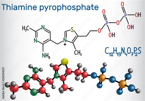 Thiamine pyrophosphate (TPP, thiamine diphosphate), is a cofactor that ...