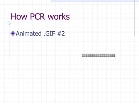 PPT - How PCR works PowerPoint Presentation, free download - ID:862368