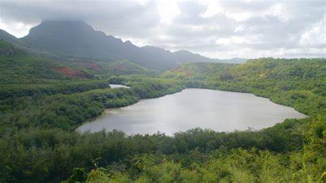 Lihue Vacation Rentals, Hawaii: house rentals & more | Vrbo