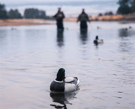 How to Set a Minimalist Duck Decoy Spread - Duck Hunting